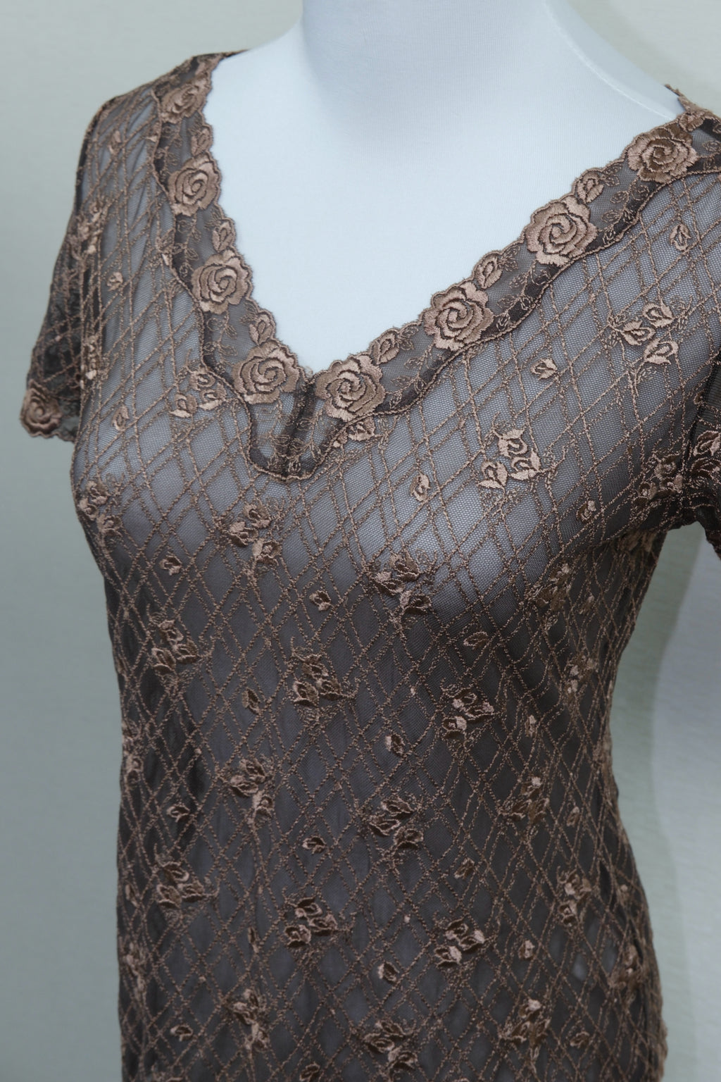 Brown Floral Lace Sheer V-Neck Blouse
